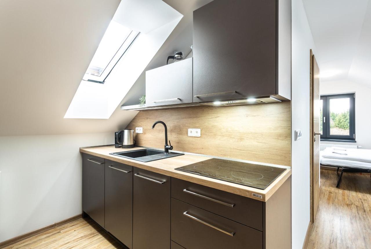 Plessberg Apartments Plesivec Abertamy Exterior foto